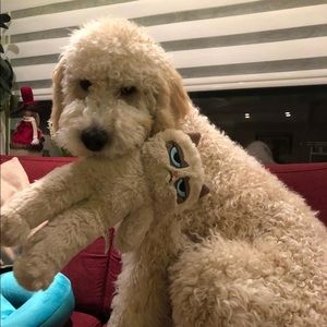 Meet your Posher, Judith